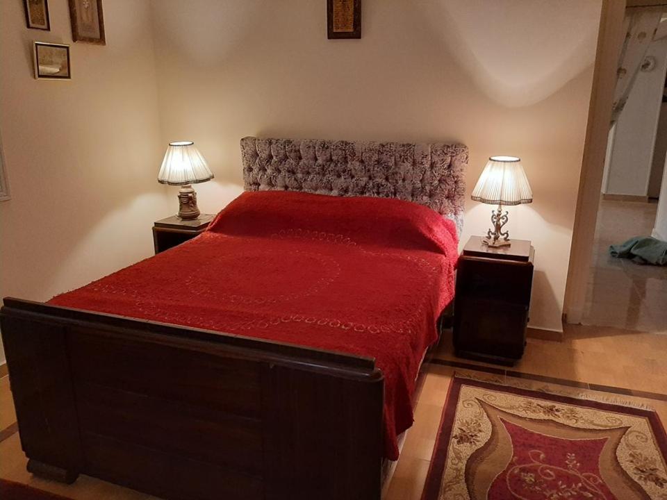 Small Friendly In A - New 5th Settlement Apartment Cairo